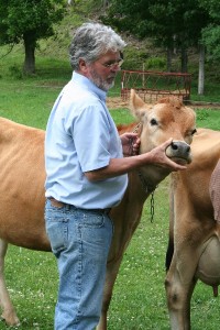 American Micro-Daires - Steve-Judge American Micro-Daires - Steve-Judge